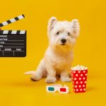 Od Skubi Dua do Betovena: Ove rase pasa su najveće filmske zvezde svih vremena