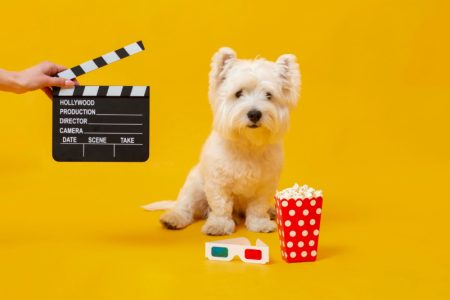 Od Skubi Dua do Betovena: Ove rase pasa su najveće filmske zvezde svih vremena