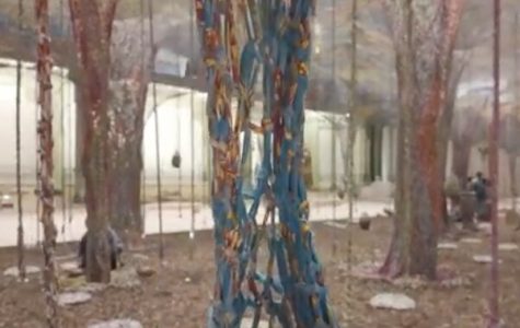 “Šuma od konca, zemlje i zvuka“: Izložba brazilskog umetnika Ernesta Neta (VIDEO)