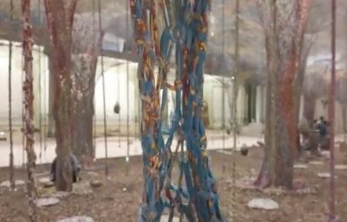 “Šuma od konca, zemlje i zvuka“: Izložba brazilskog umetnika Ernesta Neta (VIDEO)
