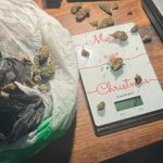 Hapšenje u Nišu: "Pao" poznati muzičar i tatu majstor - policija pronašla kokain vredan 50.000 evra (FOTO)
