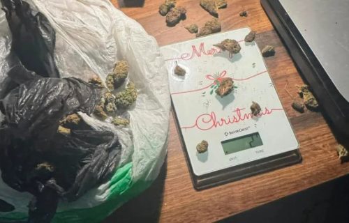 Hapšenje u Nišu: "Pao" poznati muzičar i tatu majstor - policija pronašla kokain vredan 50.000 evra (FOTO)
