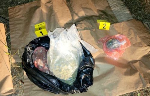 Hapšenje u Nišu: Pronađeni marihuana i novac u četvorociklu, mladić (26) pokušao bekstvo
