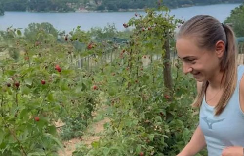 Bere maline: E tako se naša Aleksandra, finalistkinja Rolan Garosa sprema za Vimbldon