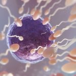 Sićušni roboti, kao pomoć, u borbi protiv neplodnosti: Kako “spermboti“ pomažu spermatozoidima da stignu do cilja