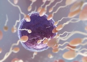 Sićušni roboti, kao pomoć, u borbi protiv neplodnosti: Kako “spermboti“ pomažu spermatozoidima da stignu do cilja