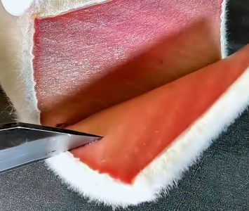 Tuna “sa krznom” hit u skupim restoranima: Otkrijte kako se pravi, ali na sopstveni rizik (VIDEO)
