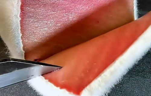 Tuna "sa krznom" hit u skupim restoranima: Otkrijte kako se pravi, ali na sopstveni rizik (VIDEO)