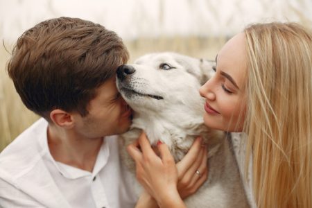 Emocije psa prema vlasniku iste su kao čoveka koji je u ljubavnoj vezi