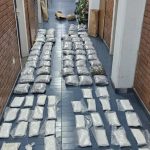 Velika zaplena u Novim Karlovcima: Više od 100 kg droge držali kući, uhapšena dva Beograđanina