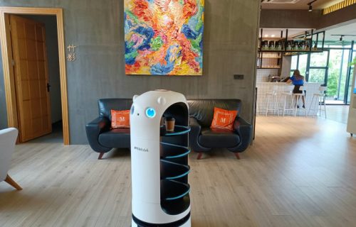 Humanoidni roboti ulaze u domaćinstva: Čiste stan i obavljaju druge, kućne poslove