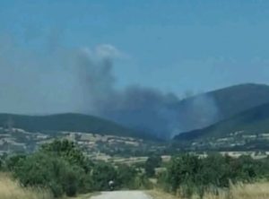 Ogroman požar besni u Grčkoj: Angažovano na desetine vatrogasaca i pet aviona