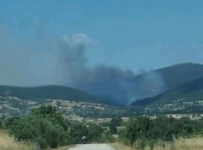 Ogroman požar besni u Grčkoj: Angažovano na desetine vatrogasaca i pet aviona