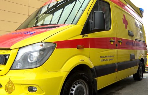 Kobila ubila veterinara jednim udarcem: Jeziva nesreća u Hrvatskoj