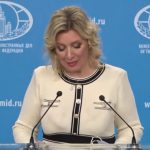 Zaharova: "Vidimo kako se Srbija beskrajno uvlači u sukob sa Rusijom"