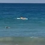 Vrisak odjeknuo plažom: Stravičan snimak napada ajkule na ženu, zadobila užasne povrede