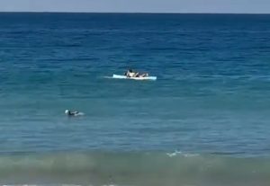 Vrisak odjeknuo plažom: Stravičan snimak napada ajkule na ženu, zadobila užasne povrede