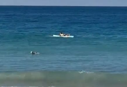 Vrisak odjeknuo plažom: Stravičan snimak napada ajkule na ženu, zadobila užasne povrede