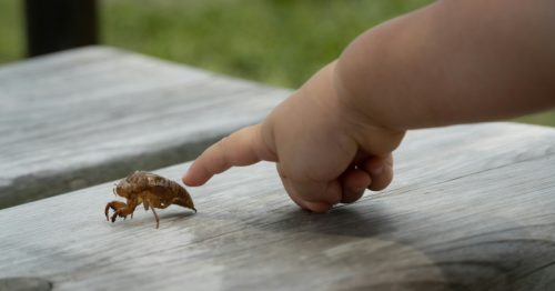 Zašto je važno da detalji iz okruženja, detetu odvlače pažnju (VIDEO)