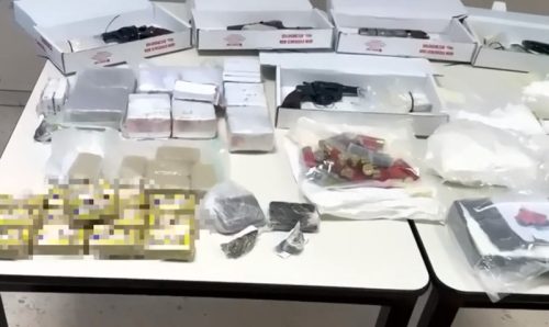Albanac i Italijan sakrili u šumi drogu vrednu 3,5 miliona evra: Policija našla i arsenal oružja