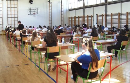 Muke sa prizmom, krugom, jednačinom sa dve nepoznate: Šta je đacima bilo najteže na testu iz matematike