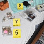 Hapšenje u Subotici: "Pali" dileri, pronađene halucinogene gljive, zaplenjena i marihuana (FOTO)