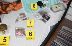Hapšenje u Subotici: “Pali” dileri, pronađene halucinogene gljive, zaplenjena i marihuana (FOTO)