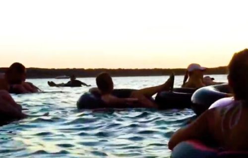 Bizaran letnji hit: Gledanje filma “Ajkula“, dok plutate na vodi, sa roniocima koji vas vuku za noge