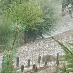 Nevreme tutnji Slovenijom: Oluja paralisala saobraćaj, došlo i do udesa, padao grad veličine lešnika (FOTO)