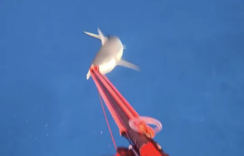 Horor iz prvog lica: Ajkula napala influensera na Fidžiju, kamera zabeležila trenutak napada
