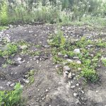 Vandali kod Lajkovca tražili blago, pa oskrnavili arheološko nalazište - Arsić: "Šteta je velika" (FOTO)