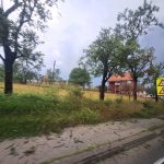 Jako nevreme pogodilo Novu Varoš: Drveće padalo na magistralu, saobraćaj otežan (FOTO)
