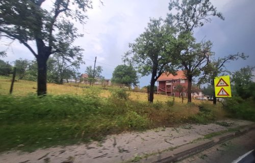 Jako nevreme pogodilo Novu Varoš: Drveće padalo na magistralu, saobraćaj otežan (FOTO)