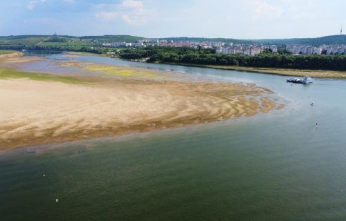 Dunav se povukao, a na dnu dve ogromne kljove: Seljani nabasali na praistorijsku grdosiju