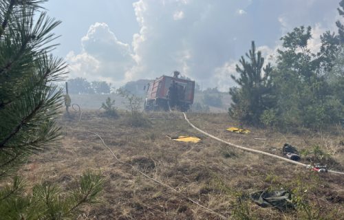 Šumski požar kod Čačka: U selu Gornja Gorevnica gori 10 hektara - na istom mestu već bila buktinja (FOTO)