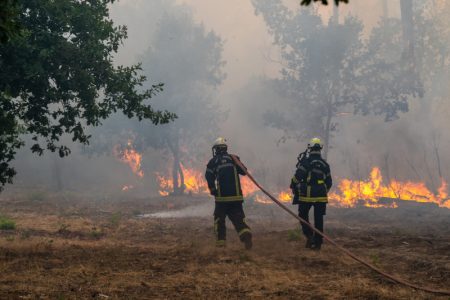 Proglašeno vanredno stanje i u Britaniji: Šumski požari besne, Engleska na udaru suše