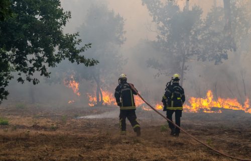 Proglašeno vanredno stanje i u Britaniji: Šumski požari besne, Engleska na udaru suše