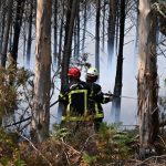 Vatrena stihija u Srbiji odnosi žrtve: Učestali požari širom zemlje, najkritičnije u Ibarskoj klisuri