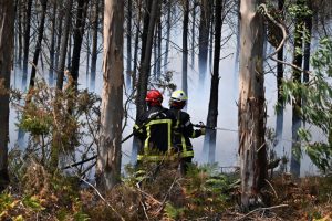 Vatrena stihija u Srbiji odnosi žrtve: Učestali požari širom zemlje, najkritičnije u Ibarskoj klisuri