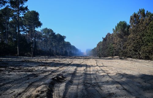 Gore i kuće milionera: "Vatrena apokalipsa" opustošila prelepe borove šume i luksuzna naselja kod Bordoa