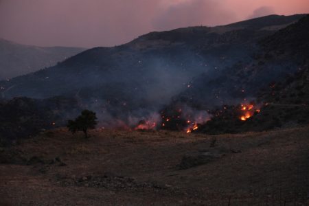 Vatrena stihija u Grčkoj i Turskoj ne jenjava: Poginula tri vatrogasca, hiljade turista evakuisano