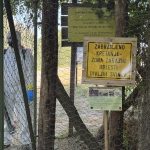 Virus afričke kuge se širi: Prisutan u osam okruga, zaraženo oko 830 gazdinstava (FOTO)