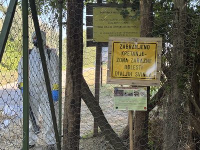 Virus afričke kuge se širi: Prisutan u osam okruga, zaraženo oko 830 gazdinstava (FOTO)
