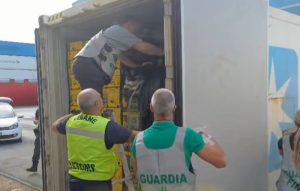 Italijani našli srpske zastave na paketima: Zaplenjeno oko 800 kilograma kokaina u Liguriji