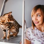 Kako da razgovarate sa mačkom tako da vas zaista razume: Ove sitnice su važne