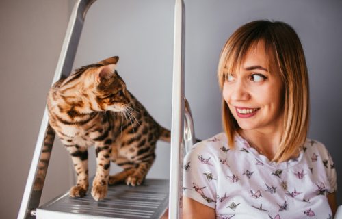 Kako da razgovarate sa mačkom tako da vas zaista razume: Ove sitnice su važne