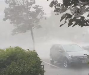 Dramatične scene potopa u Bukureštu: Srušeni krovovi, vozila pod vodom i oborena stabla, ima mrtvih