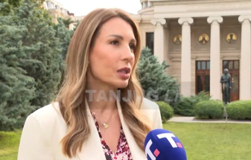 Đedović iz Rumunije o Đerdapu 3: "Srbija ima mogućnost da se energetski obezbedi za decenije koje dolaze"