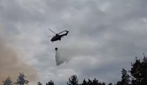 Požar u Deliblatskoj peščari – u akciji gašenja i helikopter “super puma”