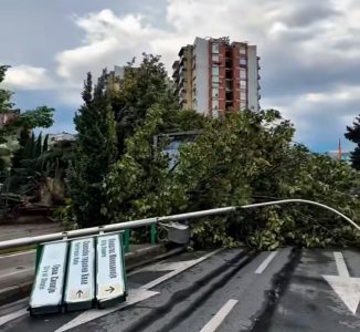 Oluja čupala drveće i krovove, opšti haos u gradu: Ogromna šteta i više povređenih u Skoplju (VIDEO)